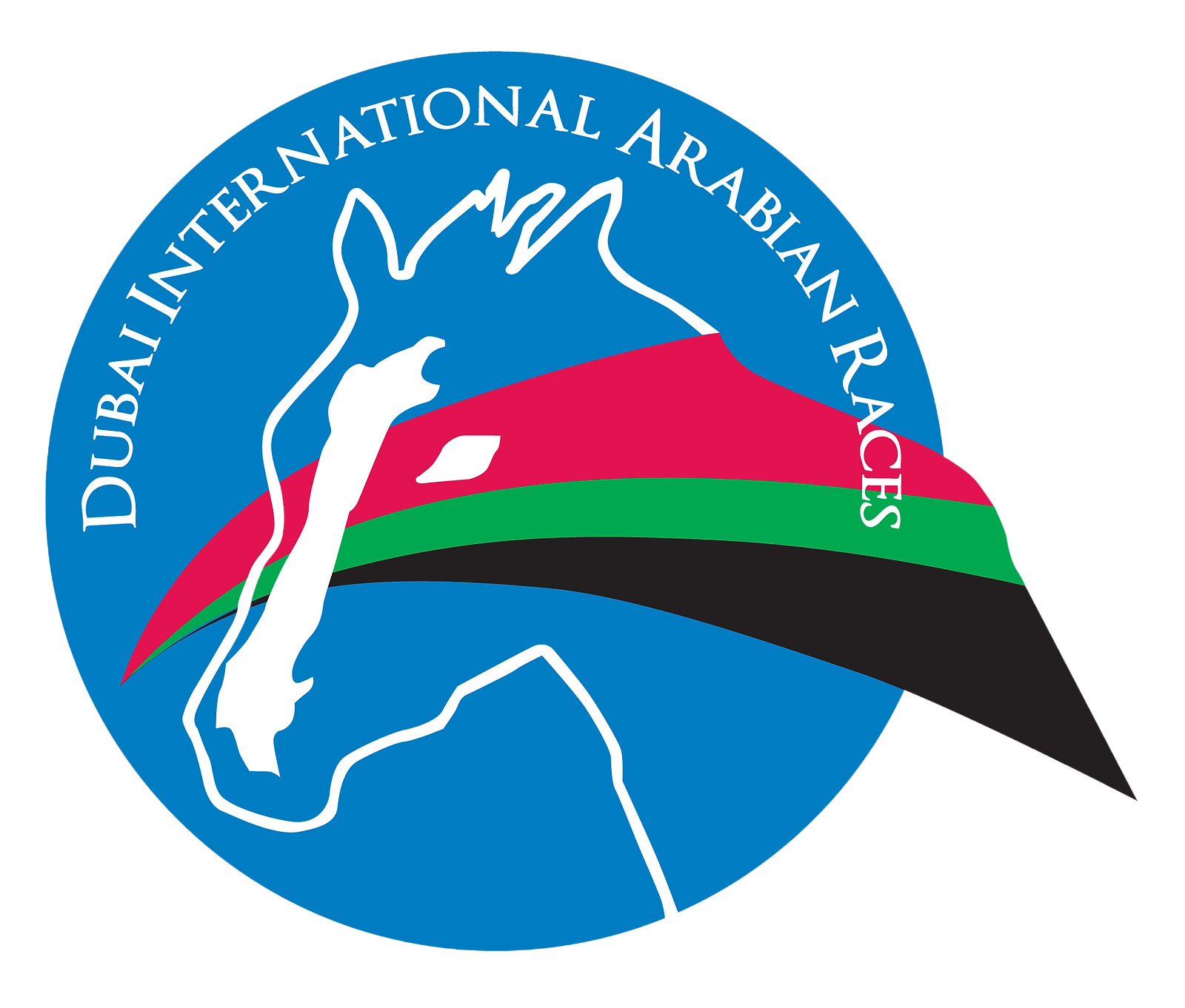 DIARS logo new PNG.png